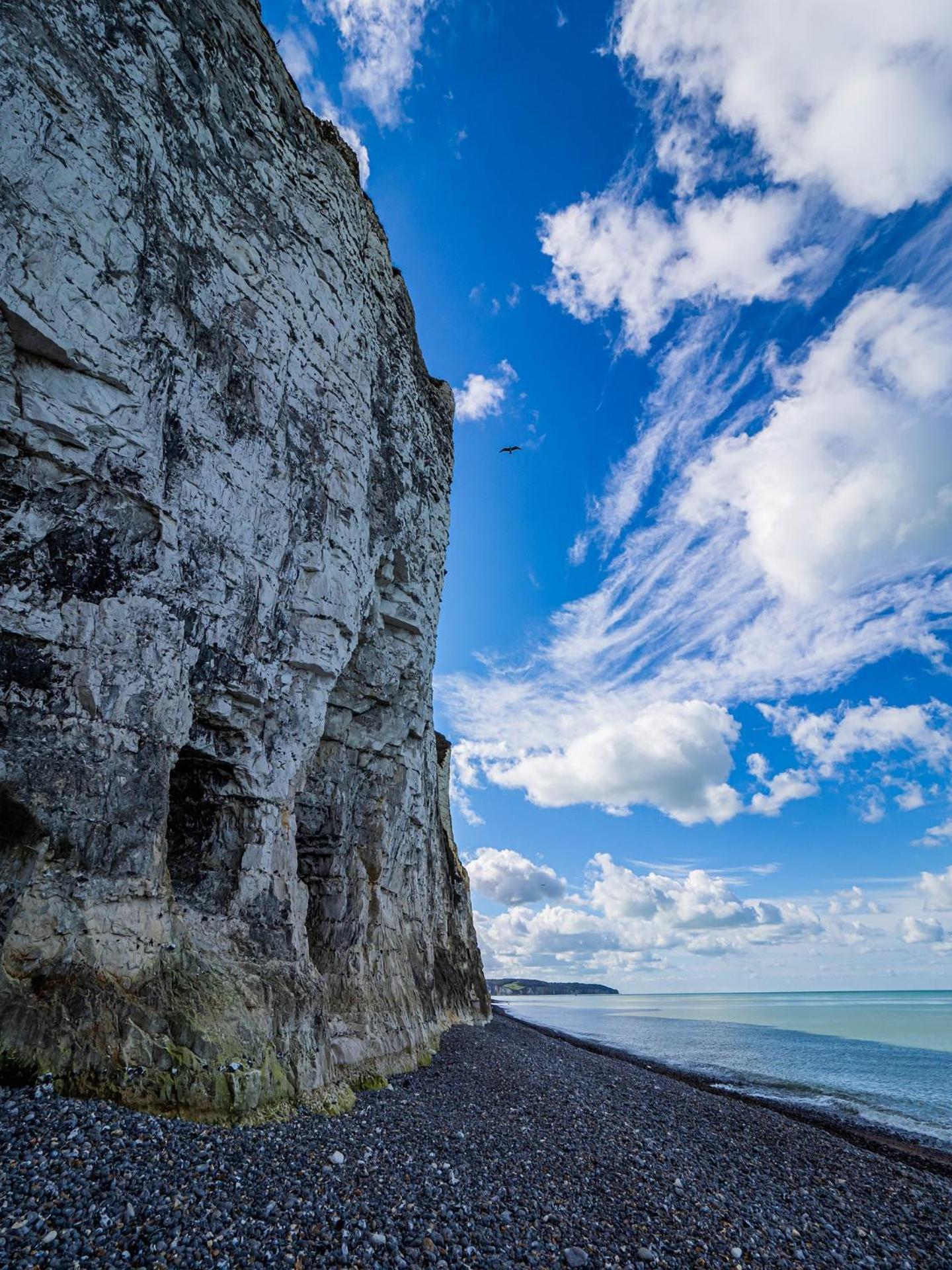 Le Voilier Ensoleille - Proximite Plage & Gare - Confort & Tranquillit Dieppe Eksteriør bilde